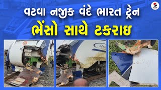 વંદે ભારત ટ્રેન ભેંસ સાથે ટકરાઇ @SandeshNewsTV