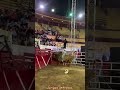 dominaron a este torazo de rancho las vÍrgenes🤠🔥🔥 jaripeo shorts