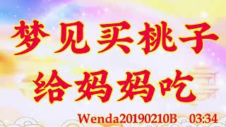 卢台长心灵法门｜梦见买桃子给妈妈吃Wenda20190210B   03:34