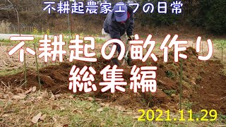 不耕起の畝作り総集編 不耕起農家エフの日常　2021.11.29