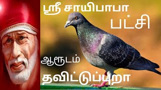 சாயிபாபா பட்சி பிரசன்ன ஆரூடம் - தவிட்டுப்புறா