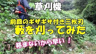 【草刈機 】前回のギザギザ付き3枚刃で藪を刈ってみた