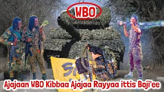 OMN:ODUU Hatattaama Ajajaan WBO Kibbaa Ajajaa Rayyaa ittis Boji'ee Injifannoo Gotichaa Oromo