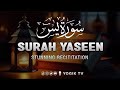 Marvelous Surah Yasin (Yaseen) سورة يس | Relaxing Heart touching voice | Zikrullah TV ! Zikrullah TV