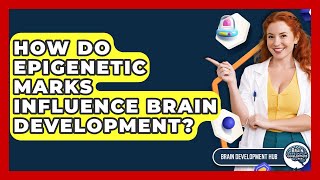 How Do Epigenetic Marks Influence Brain Development? - Brain Development Hub
