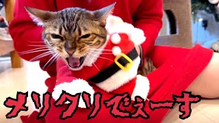 ウチのサンタが最強過ぎます🧑‍🎄