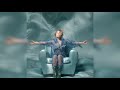 Lady Gaga - The Cure |LYRICS + VIETSUB|