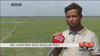 ঋণের টাকায় আবাদ করে কৃষকের মাথায় হাত | Agri News