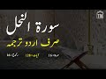 Surah An Nahl only urdu Translation | Surah  An Nahl in urdu hindi Tarjuma | Surah 16