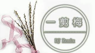 《YiJianMei》-- DOUYIN(DJ Remix) 2020TikTok Most popular song list