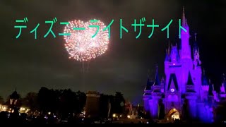 ディズニーライトザナイト🎇