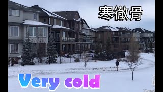 Winter in Edmonton canada 加拿大埃德蒙顿的冬天