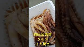 飯テロ園田競馬場イカ焼き