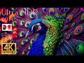 4K HDR 120fps Dolby Vision with Animal Sounds (Colorfully Dynamic) #20