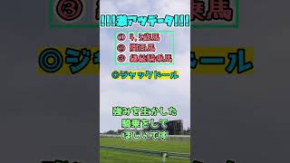 【大阪杯2023】激アツデータ予想！【ぷるるん競馬】#Shorts