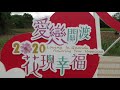 20201108關渡花海