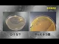 【神奈川県試験研究機関】衛生研究所の紹介動画