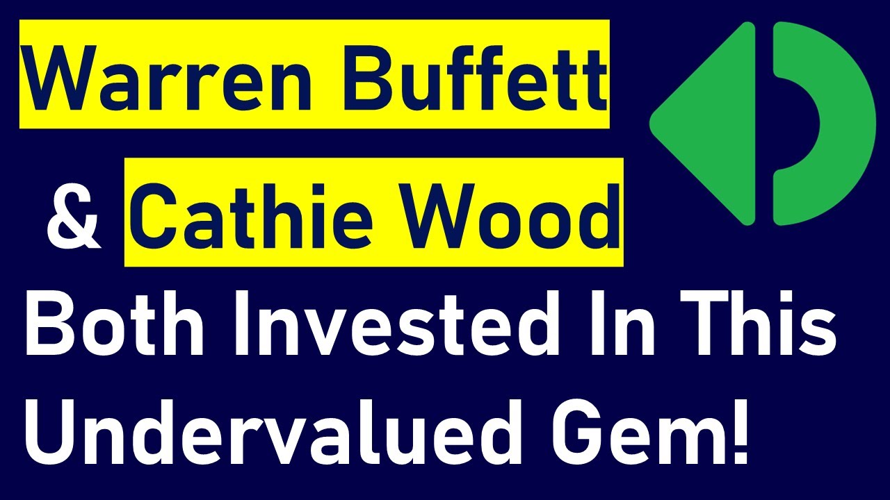 Warren Buffett & Cathie Wood Both Invested In This Undervalued Gem ...