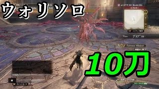 【DDON】黒騎士　ウォリソロ　7分53秒