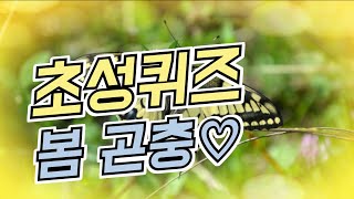 초성퀴즈 | 봄에 만나는 곤충 10종류 | 어려운버전 도전 | 치매예방 | 두뇌개발