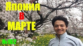 ЦВЕТЕНИЕ САКУРЫ В ЯПОНИИ! САМОСТОЯТЕЛЬНОЕ ПУТЕШЕСТВИЕ ПО ЯПОНИИ | CHERRY BLOSSOM IN JAPAN