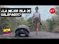 🐢Esto es ISLA ISABELA 🇪🇨 - Galápagos, Ecuador, Parte 1🌎 Ep.7