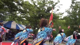 新松戸祭'15 ステージ 朝霞 真誠塾 - 一心舞緑