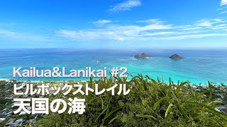 【TheBusで巡るハワイ】Kailua\u0026Lanikai ♯2 │ 6年ぶりのラニカイピルボックス・トレイル │ 晴天の頂上から見る天国の海 │ Lanikai Pillbox