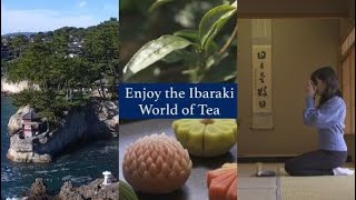 Enjoy the Ibaraki World of Tea 〜A Trip to Tea in Ibaraki〜