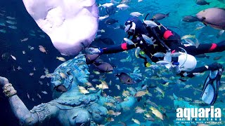 Aquaria Phuket