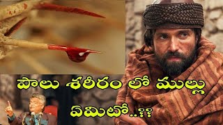 పౌలు శరీరంలో ముల్లు పాపమా? రోగమా?