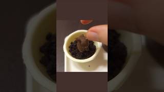 포켓몬 초콜릿 Pokemon Chocolate #popincookin #asmr