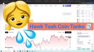 Hawk Tuah Coin Crashes - Talking about Meme Coins Do's and Dont's