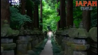 平林寺　埼玉県新座市野火止3-1-1