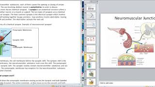 Electrophysiology 7 Ligand Gated Channels