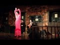 Flamenco @ odos-oneiron - Ισαβέλλα Γαλαίου, Alvaro Ramirez Romero, Sergio Gomez