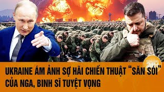 Thời sự quốc tế: Ukraine ám ảnh sợ hãi chiến thuật “săn sói” của Nga, binh sĩ tuyệt vọng