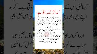 Urdu quotes||Urdu Quotes Short's||Islamic Quotes||Shorts videos||Urdu Poetry||Viral#Urdu quotes