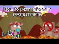 Growtopia || HOW TO PERMA BAN PEOPLE FROM YOUR WORLD! 2021