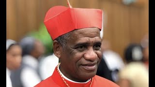 Cardinal Profiles Désiré Tsarahazana, The Next Pope Series #29