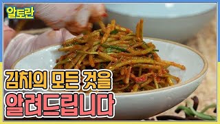 더운 여름, 집 나간 입맛 돌아오게 하는 여름 김치 특집! MBN 220719 방송