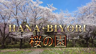 HANA・BIYORI 「桜の園（満開の桜と春の花）」