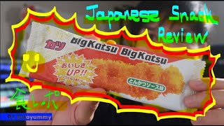 【JAPANESE SNACK】BIG KATSU a delicious TONKATSU CURRY flavor!! review (ビッグカツを英語で食レポ) バイリンガル Bilingual