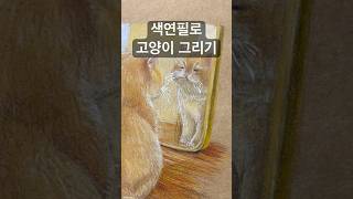 #chillmusic #chillcat #그림강의 #그림유튜버 #art #drawing #colorpencil #sweetbaby #yellowcat #색연필손그림 #색연필드로잉