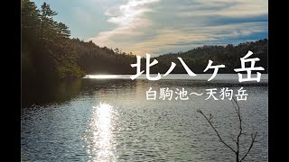 【北八ヶ岳】まるでジブリ！苔の森｜白駒池〜天狗岳