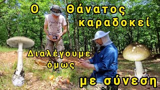 Φάγαμε τα νόστιμα, αφήσαμε το δηλητήριο.