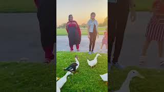 എനിക്ക് നിന്നെ തൊടാൻ കഴിയുമോ 🦆#viralvideo#shorts##grandparents#parents love#malayalamsong#cute#love