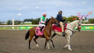 Gulfstream Park Replay Show | January 5, 2025