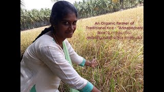 Organic farming of traditional \