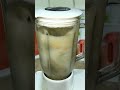 homemade sugar cane juice #shorts #viral